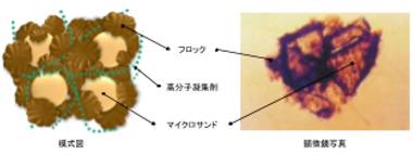 技術概要