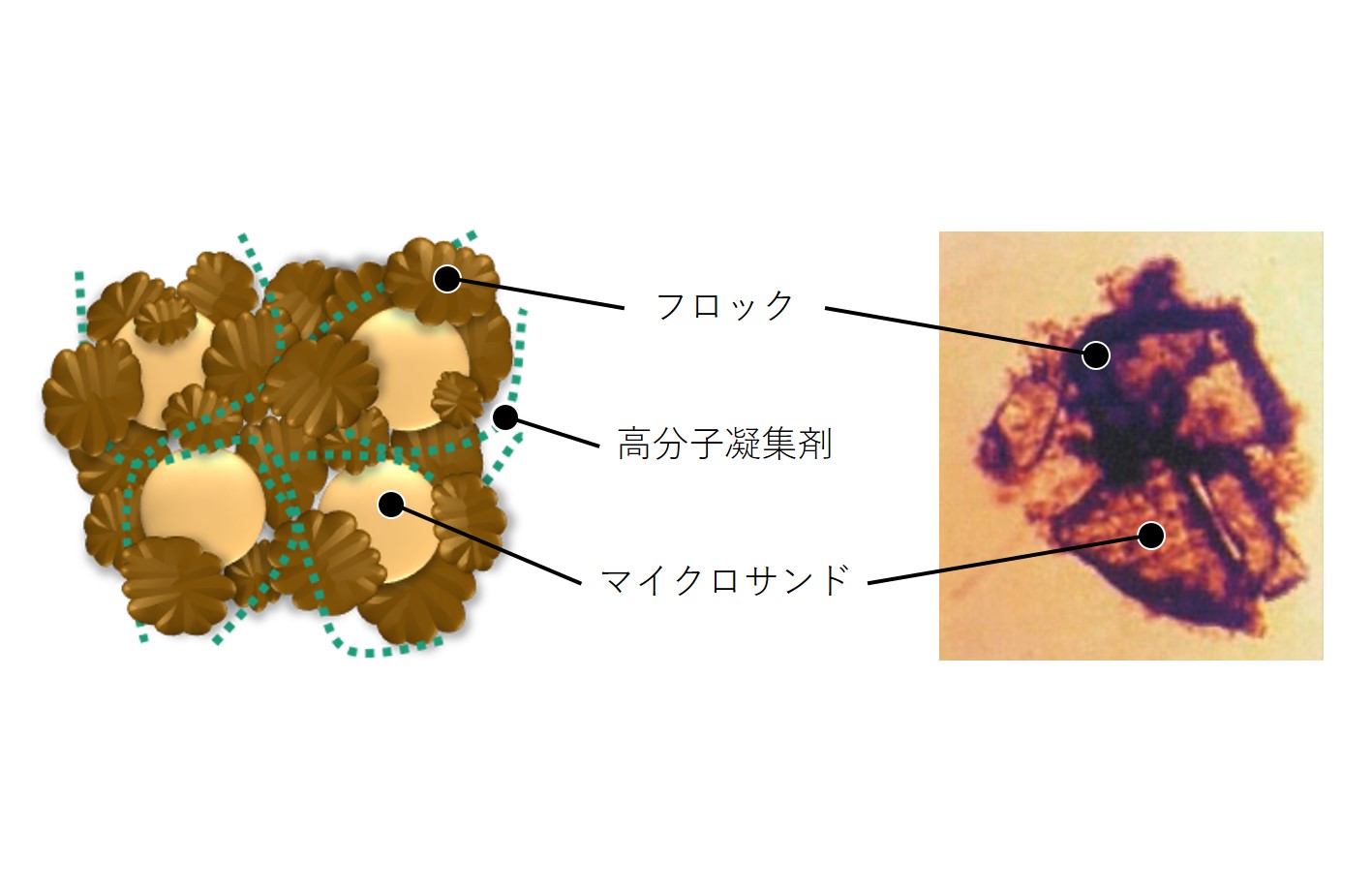 サンプル